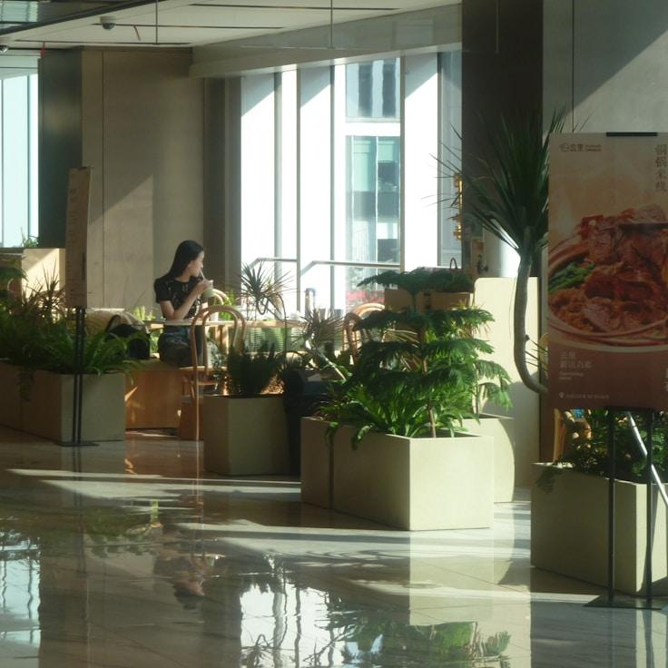 Dining out as an expat family in Italy